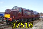 37516 at Eastleigh Works 24-May-2009