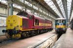 37422 and 73136 at Eastleigh Works 24-May-2009