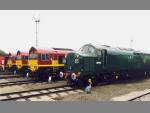 66004, 66005, 66003 and D6700 at Toton 30-Aug-1998