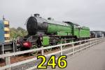 246 'Morayshire' (LNER class D49) at Shildon 24-Sep-2010