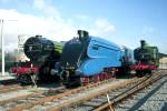 4771 'Green Arrow, 4468 'Mallard' and 1247 at Shildon 24-Sep-2010