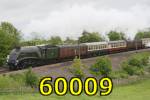 60009 'Union of South Africa' at Brafferton 24-May-2008