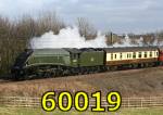60019 'Bittern' at Brafferton 1-Mar-2008